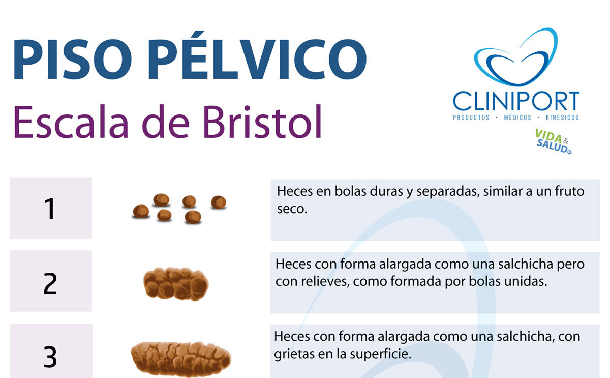 Escala de Bristol