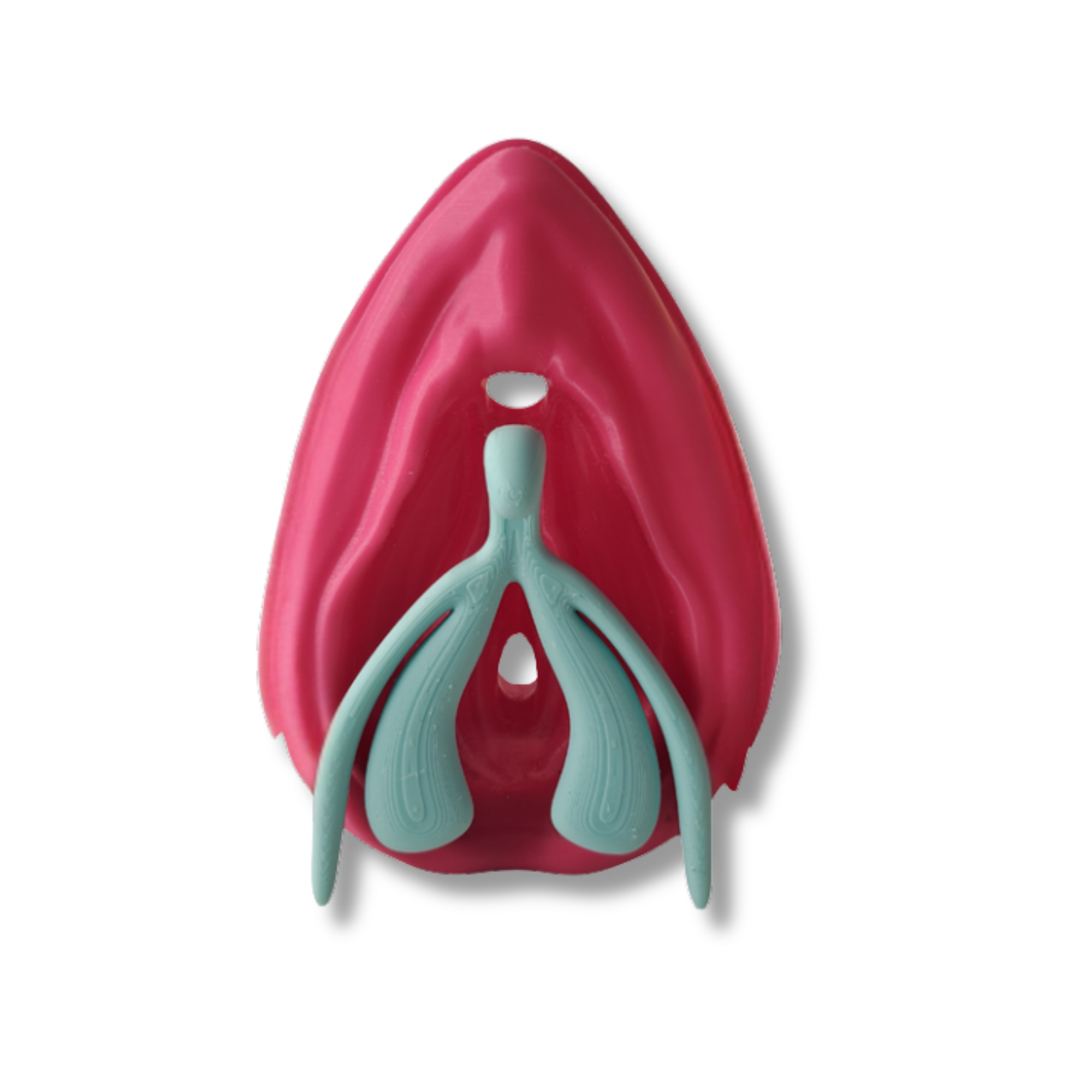 Kit Educativo Vulva + Clítoris