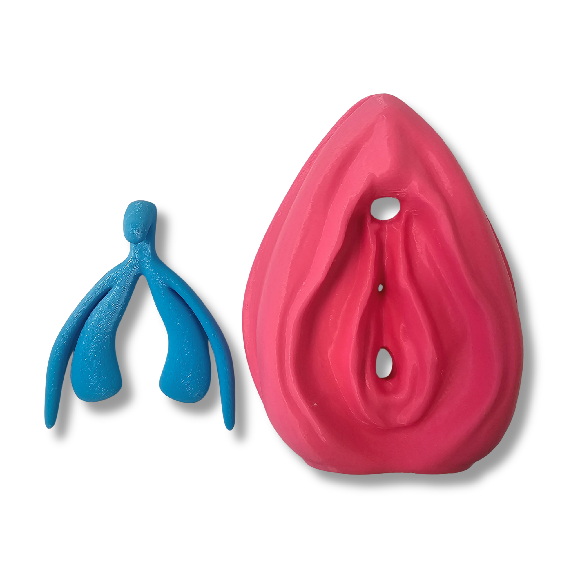 Kit Educativo Vulva + Clítoris