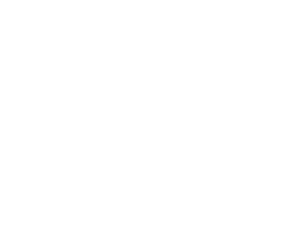 Cliniport